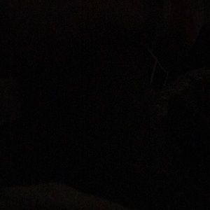 Meet your Posher, Leslye